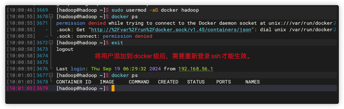 image-20241130100138979